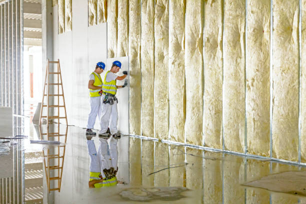 Best Insulation for Existing Homes  in Crystal River, FL